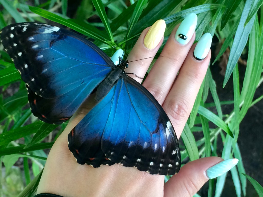 Motýl na nehtech, gelové nehty, nehty, nail-art